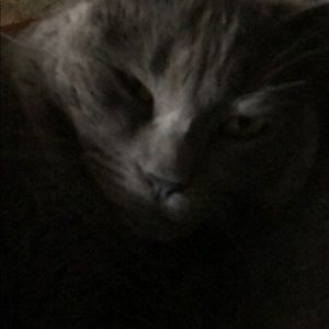 Meet your Posher, Dawn